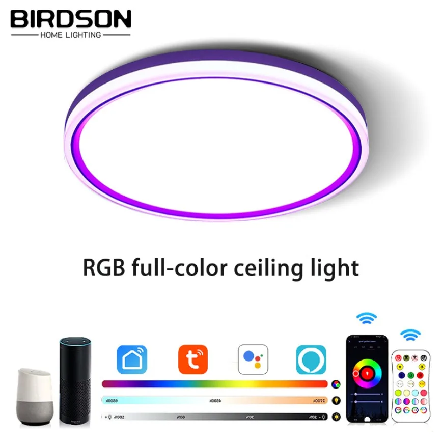 

Tuya APP Intelligent LED Ceiling Light WIFI RGB Dimmable Ceiling Light and Alexa Google Home Living Room Bedroom Home Decoration