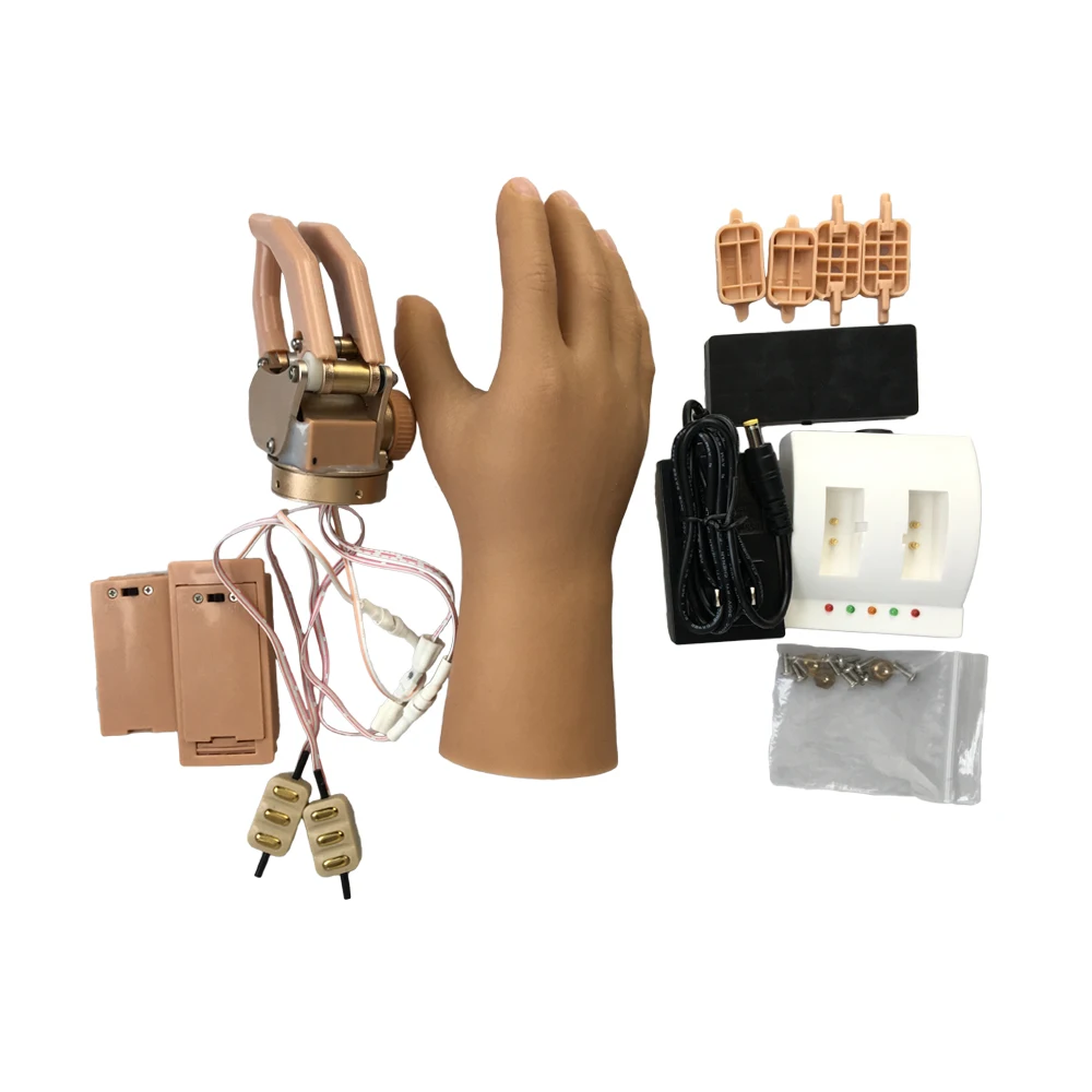 

Arm Prosthesis Freedom Below Elbow Rotating Wrist Myoelectric Prosthetic Hand