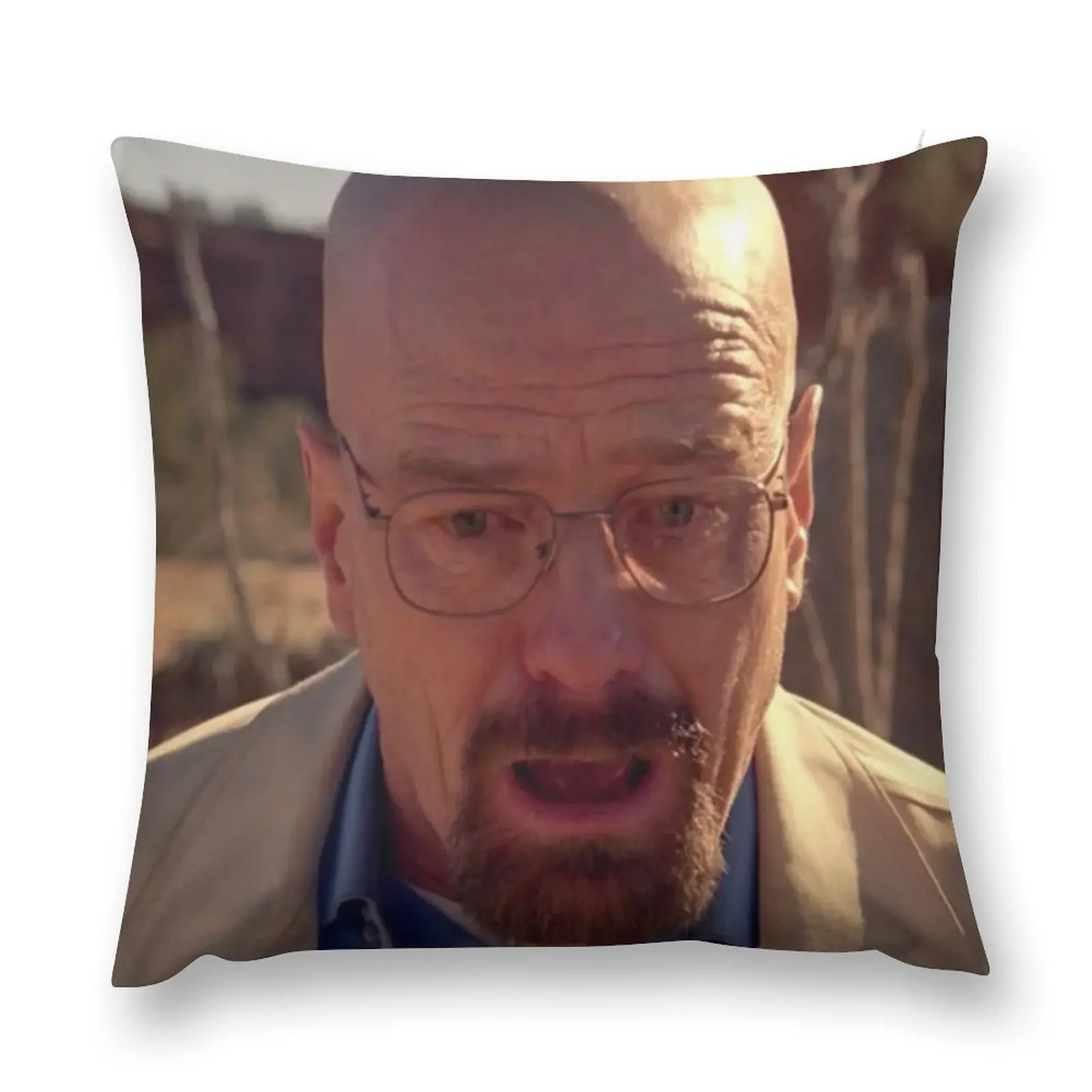 

Walter White Meme Throw Pillow bed pillows christmas ornaments 2025 Sofa Cushions Pillowcases pillow