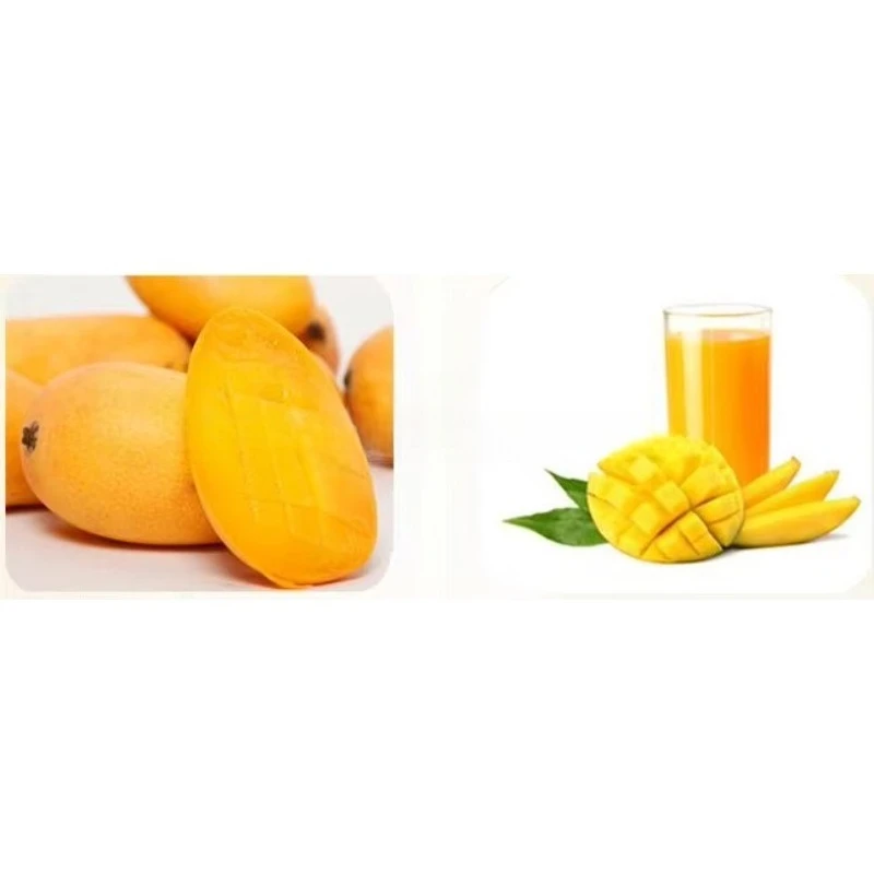Commercial Fruit Vegetable mango Pulp Pulp Machine / Tomato Pulping Machine / Fruit Pineapple Juice Extracting Machine