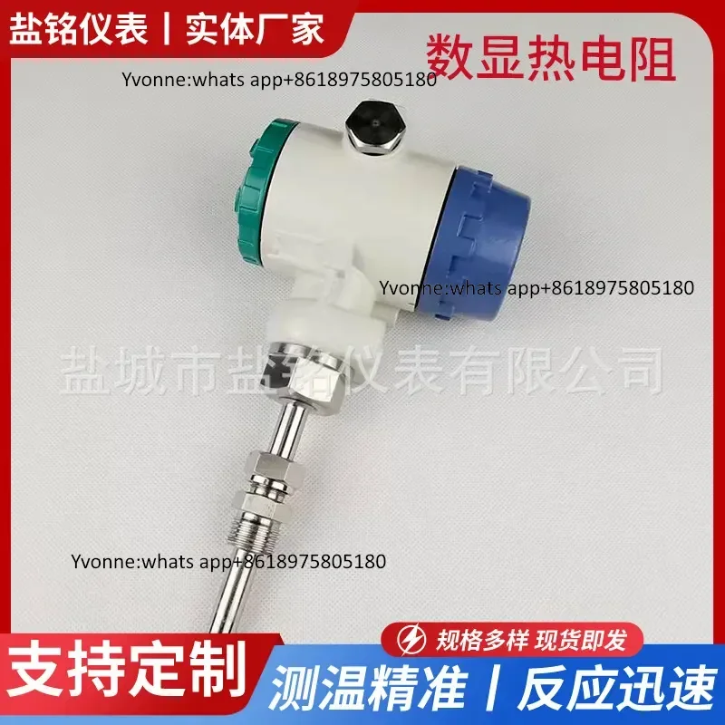 Intelligent integrated PT100 explosion-proof remote digital display thermal resistance sensor