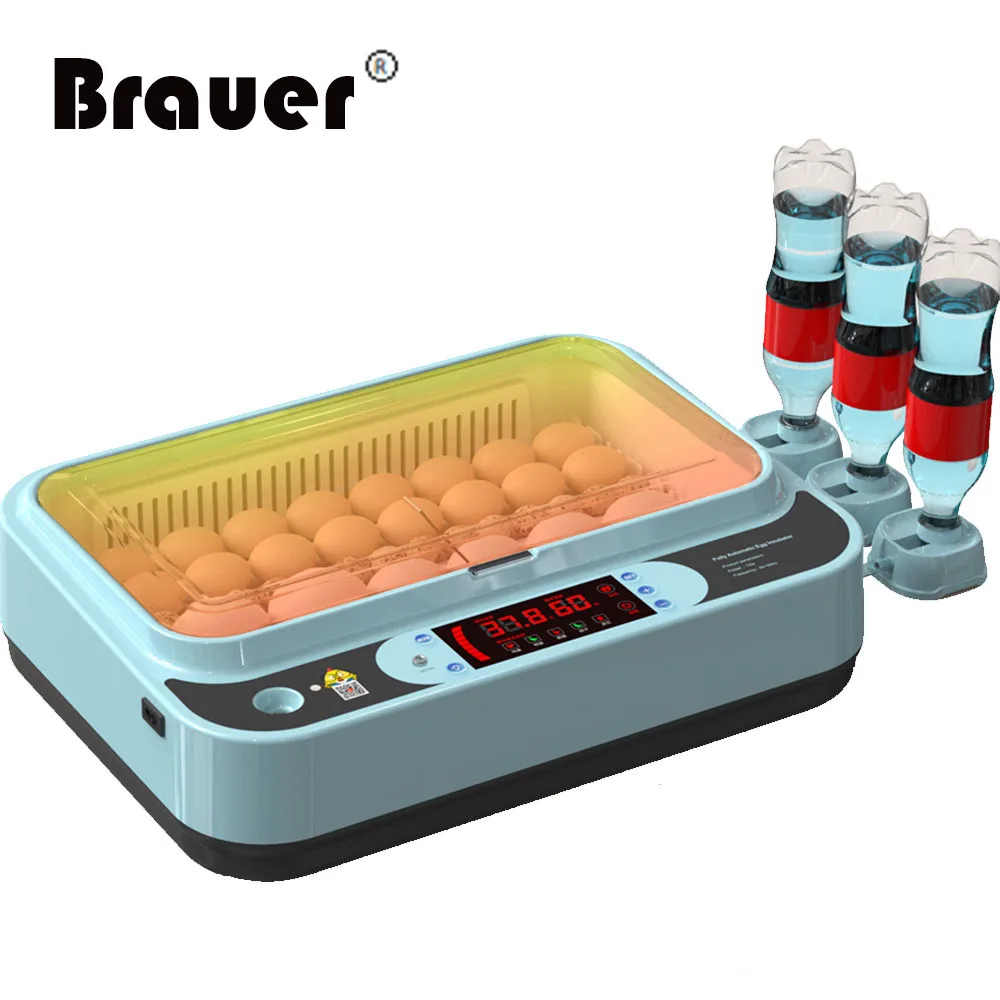 220V Eggs Incubator Brooder Bird Quail Incubator Chick Hatchery Incubator Poultry Hatcher Turner Automatic Farm Incubation Tools