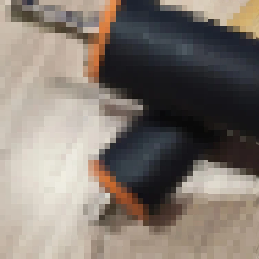 1X JC66-02855A JC66…