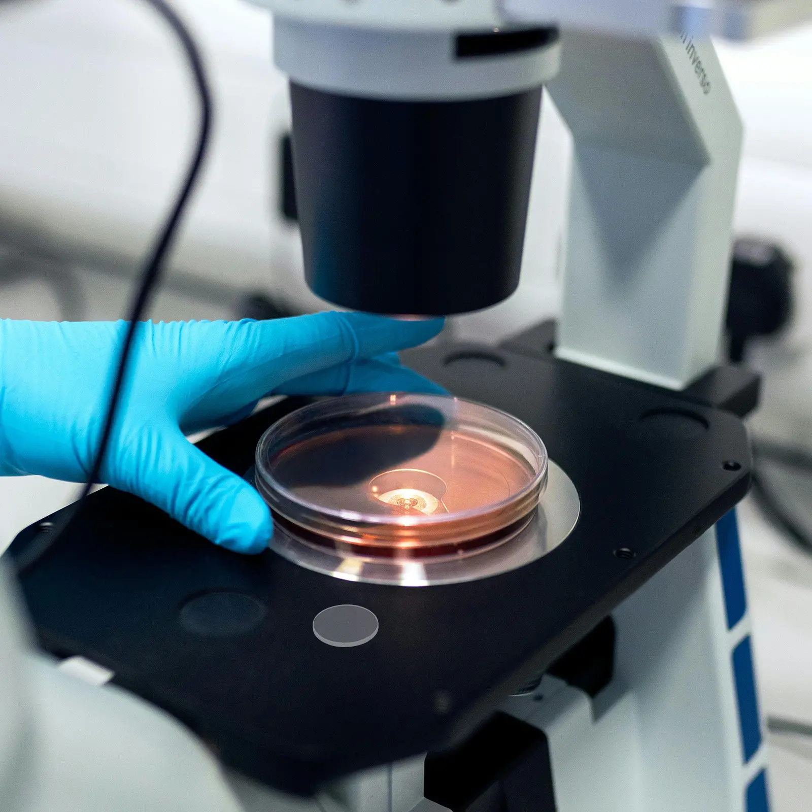 

Precision Microscope Ocular Micrometer High Definition Reticle Calibration Slide for Professional Cell and Pathology Research