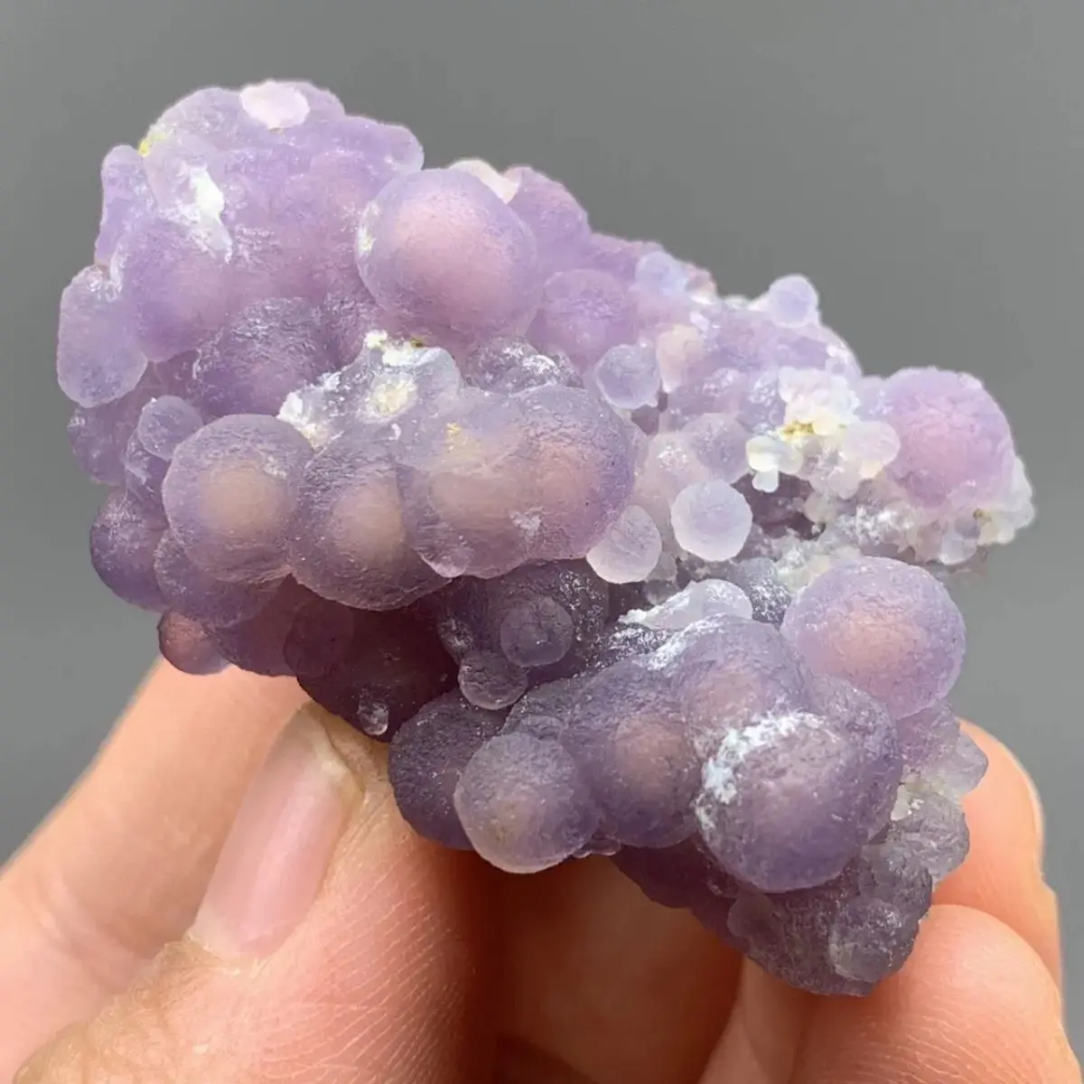 Inner Mongolia Alxa Raw Stone Grape Agate Stone Raw Stone Pearlescent Jade Beautiful Color Collection Display Aquarium Landscape