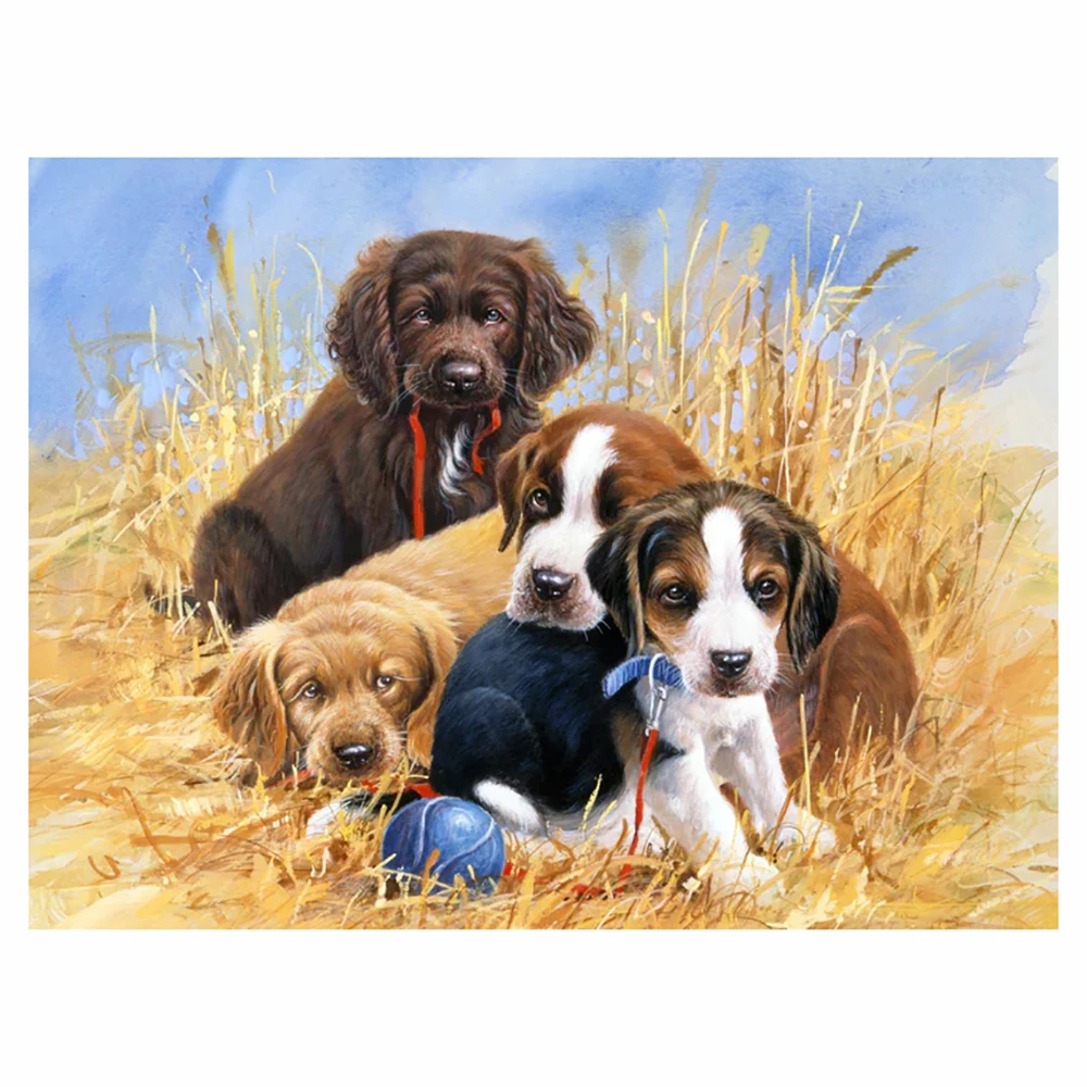 

5D Diamond Painting Dog Playing Ball Full Square/Round Rhinestone Hobby Crafts Mosaic Handmade Gifts Cross Stitch Home Decor