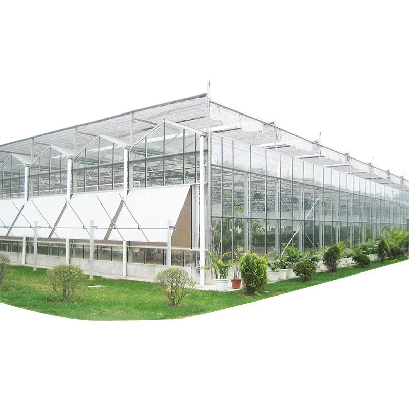 

Agricultural Glass Greenhouse Flower and Vegetable Seedling Greenhouse Multi-span Intelligent Automatic Planting Greenhouse