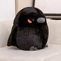 Dark Crow BBX