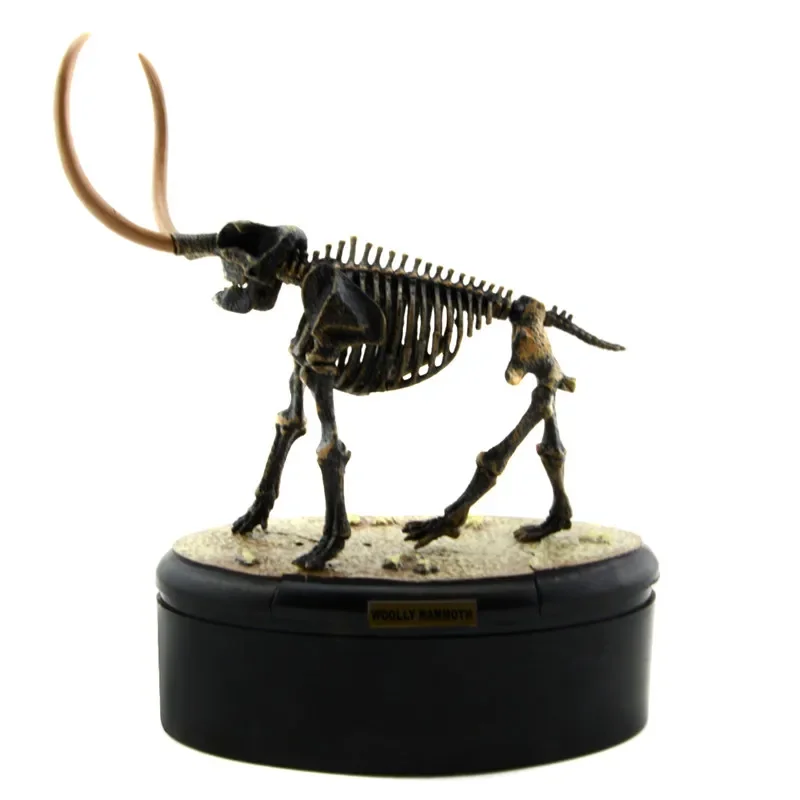 Dinosaur Skeleton Fossil ABS Assembly Dinosaur Toys Model Building Kits Collection Jurassi Park T-rex Skull Decoration Crafts