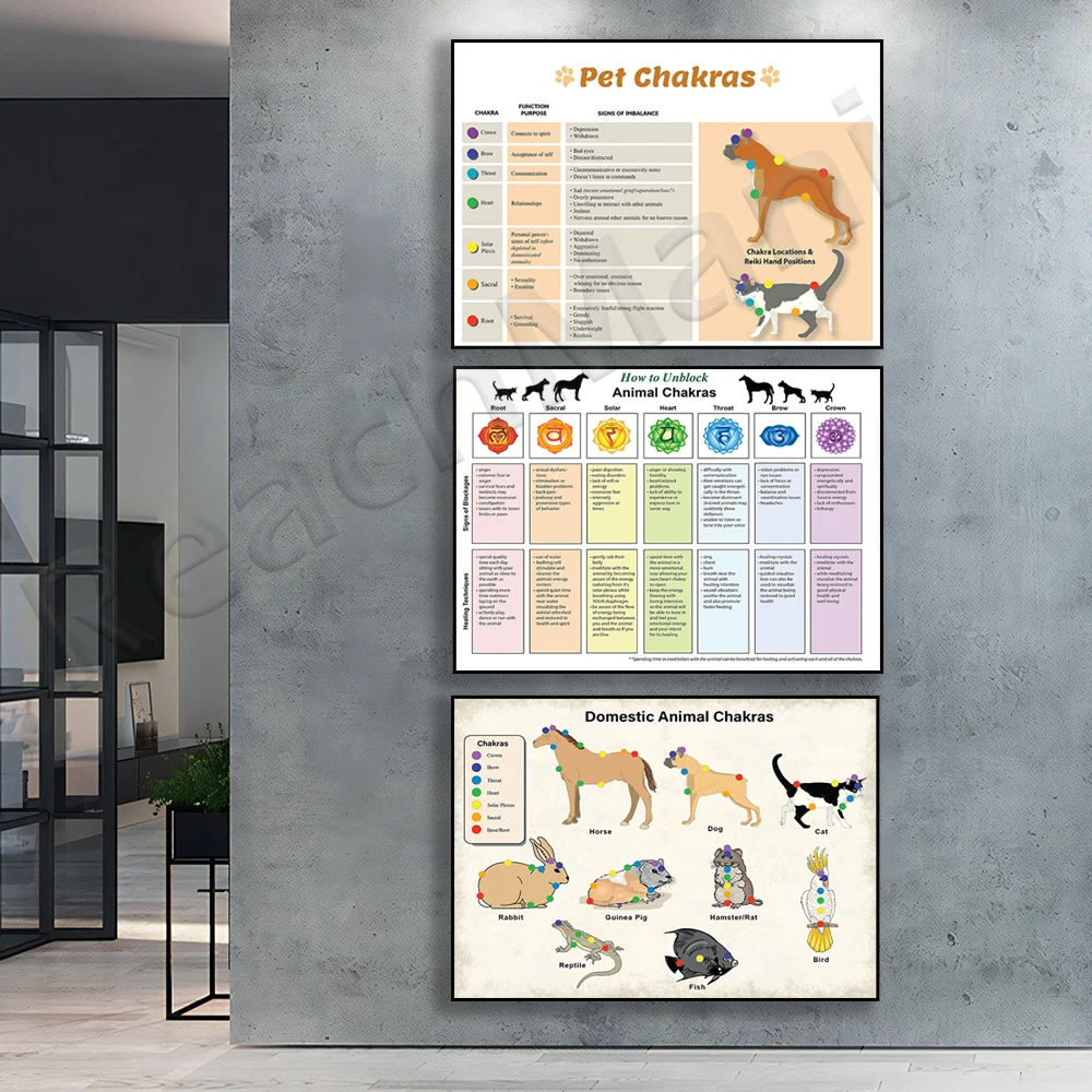 7 chakras animal pet infographic, laminated dog and cat chakra poster, animal chakra blockage and healing technique poster