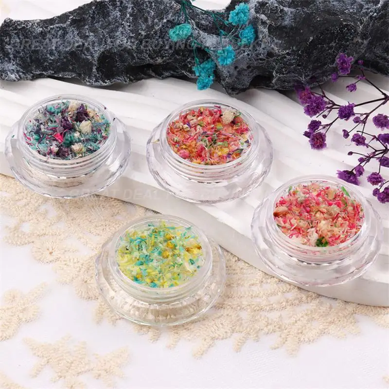 เครื่องประดับกลีบดอกไม้เครื่องมือทำเล็บหลากสีสำหรับตกแต่งเล็บเจลทาเล็บ