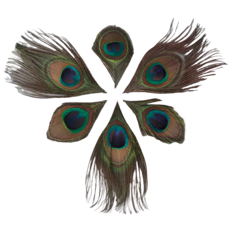 

Natural Real Peacock Feathers Eyed Plumes Tails Large Small Eyes DIY Handmade Costume Materials Dress Decor Stage Accessories