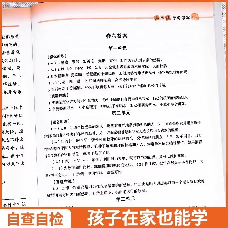 Reading Comprehension Specialized Training Book for Grades One To Six, Training Questions, Extracurricular Books