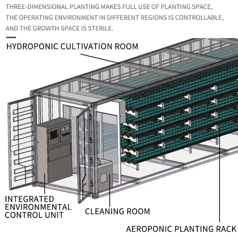 Serra per lattuga Coltura idroponica verticale Sistema agricolo Fattoria di contenitori per spedizioni