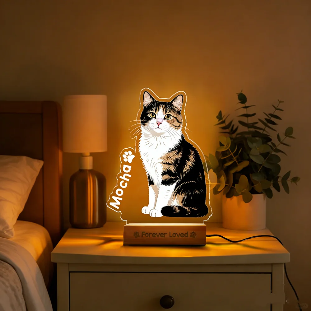 Personalisierte Haustier-Gedenk-Acryl-Nachtlicht, Individuelles Geschenk für Hunde und Katzen, Schlafzimmer-Dekoration, Warmes Weihnachts-Ornament, Geschenk für Tierliebhaber – Detail 6