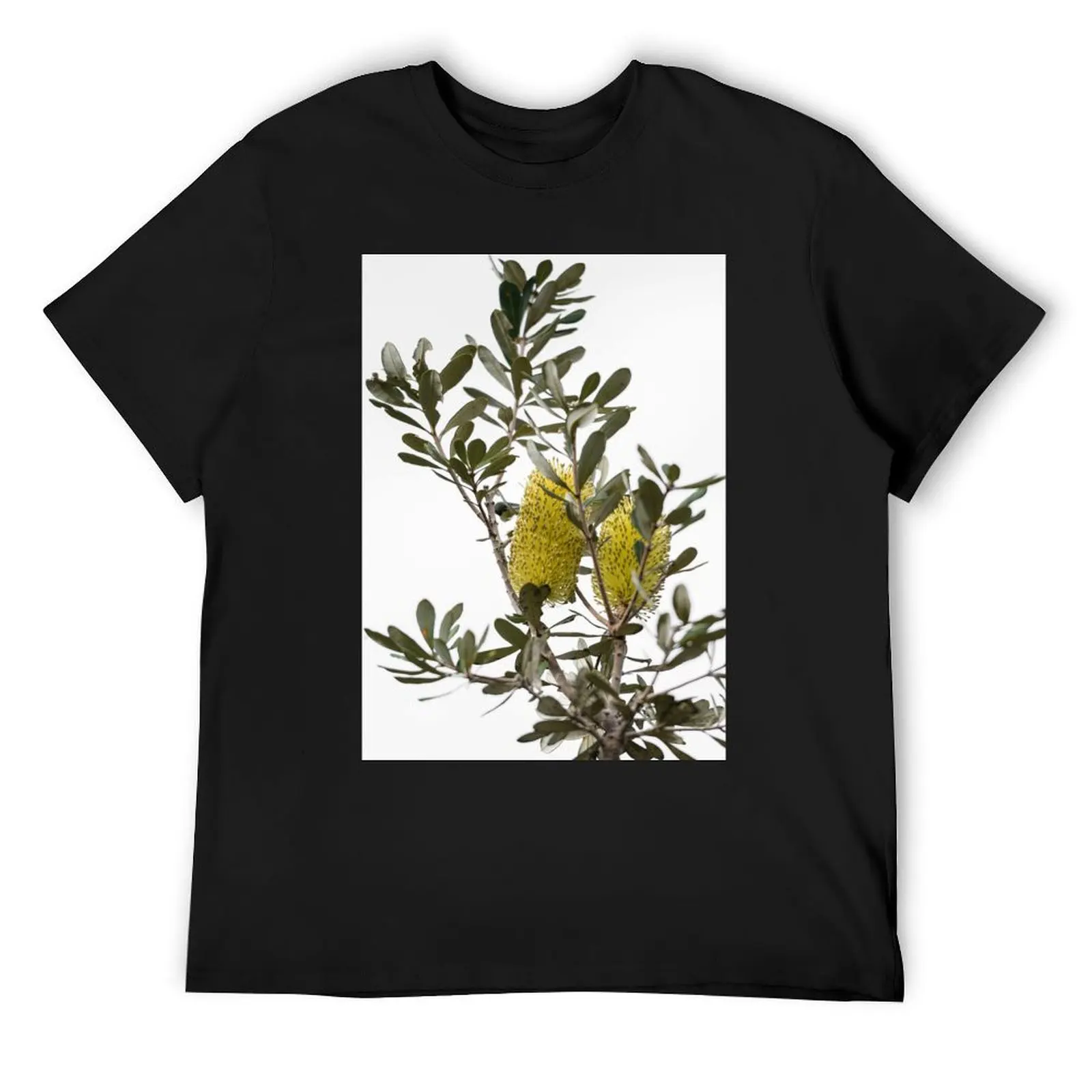 Banksia SYD02 T-Shirt plain baggy shirts mens plain t shirts