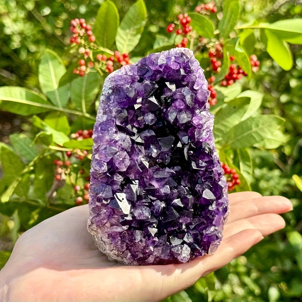 1 racimo de cristal de amatista de Uruguay. |   Geoda de color morado intenso, espécimen único para coleccionables y uso educativo