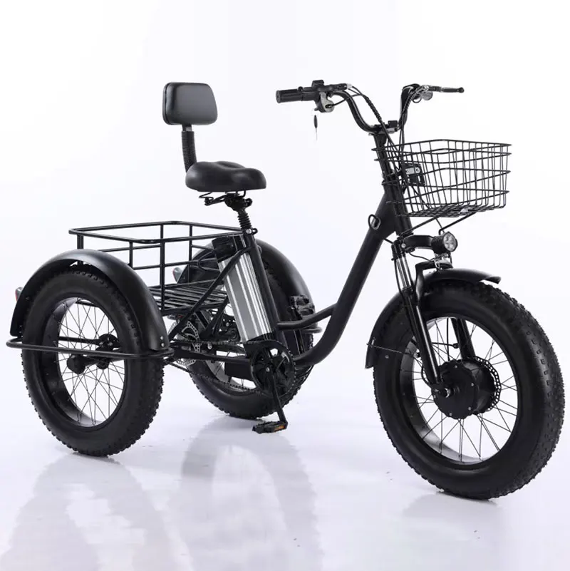 

350W 20 Inch Fat Tire 3 Wheel Mini Moped Electric Bike With Basket Electric Hybrid Three-Wheel Truck