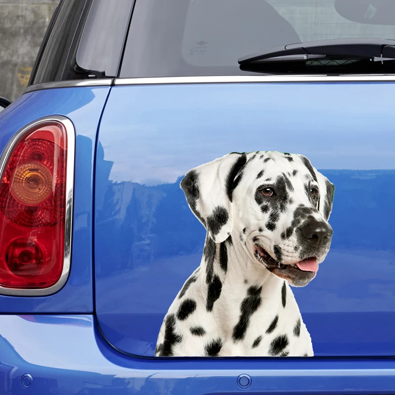 Car Sticker Dalmatian Dog Pet Animal Waterproof Vinyl Decal Car Accessories Decor Pegatinas Para Coche  #V1362