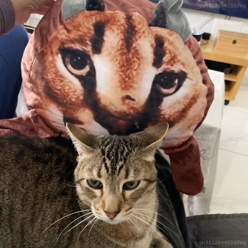

25/35/40/50cm Humorous Caracal Cat Pillow Simulation Raise A Floppa Plush Toy Funny Ugly Cat Stuffed Toy Kid Holiday Xmas Gift