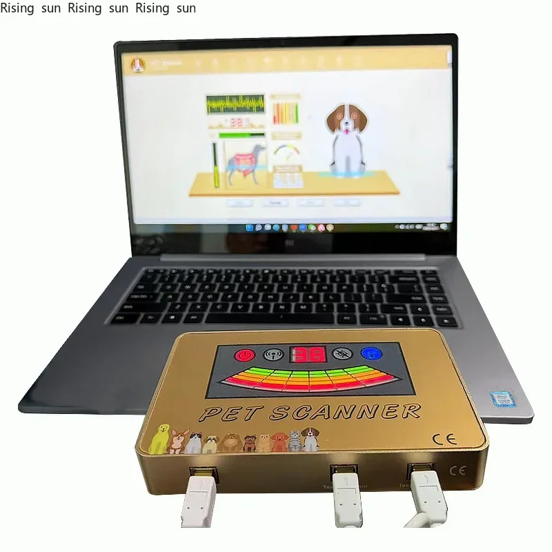 

Direct measurements pet scanner for dog and cat with Quantitative Magnetic Resonance