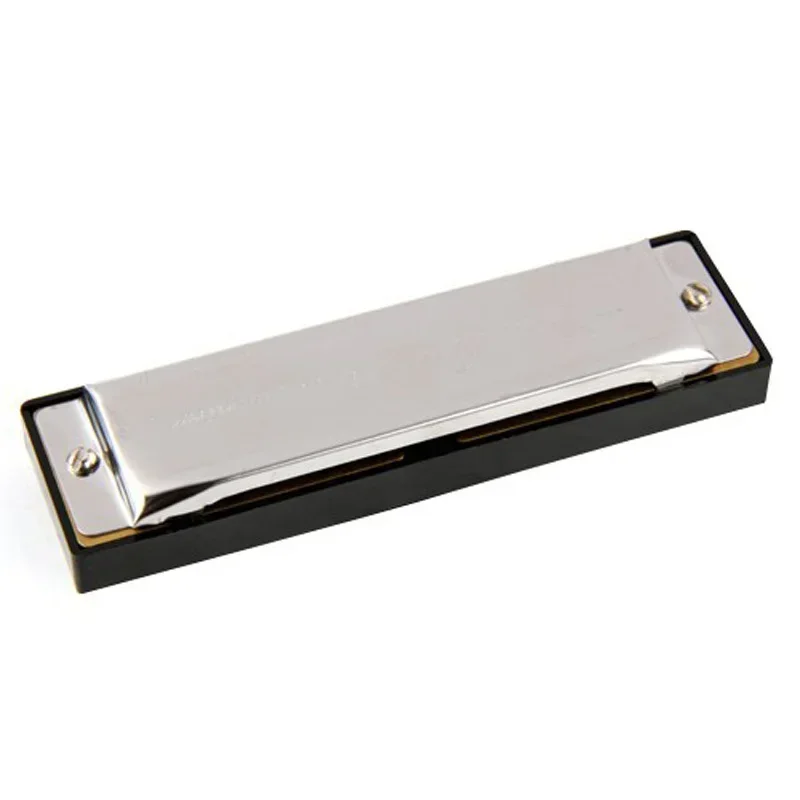 D19 New Silver Swan Harmonica 10 Holes Key of C for Blues Rock Jazz Folk Harmonicas Armonica G Professionale