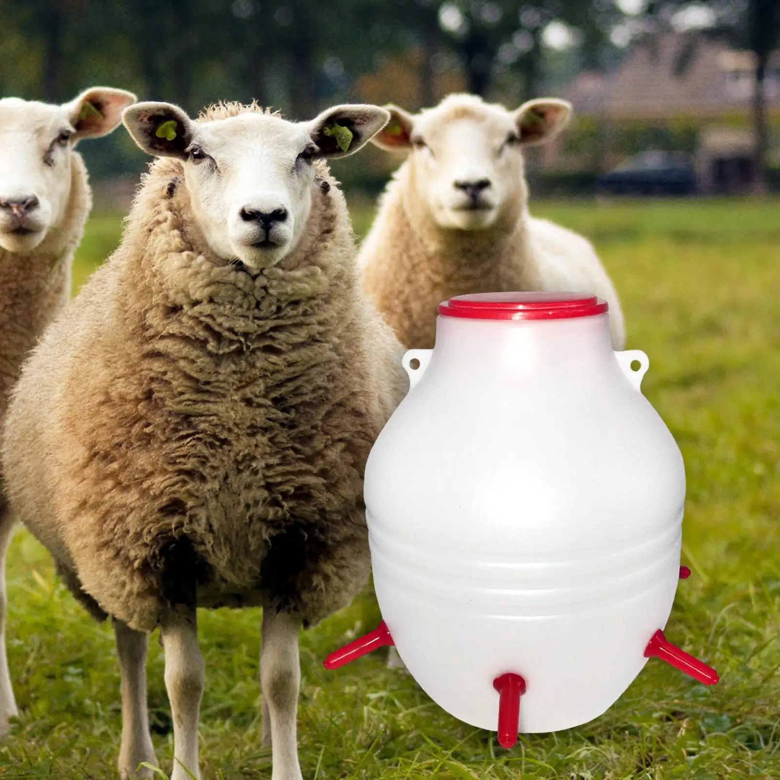 

Ведро-поилка для ягнят с 6 сосками, 8 л, большая емкость, для домашней птицы, для поросят, аксессуары, бутылка для молока, для фермы, улицы, сада