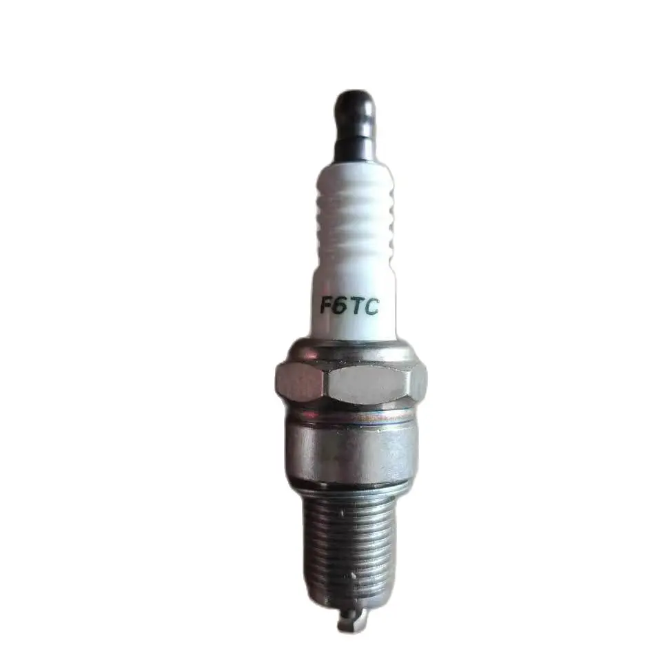 

F6TC Свеча зажигания 798615 BRIGGS STRATTON двигатель 25T232 XR2100 часть