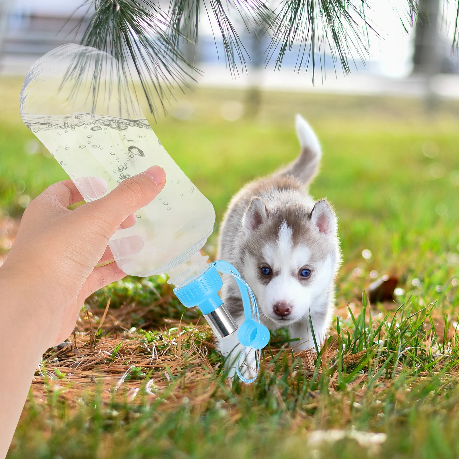 

2pcs Pet Water Fountain Portable Dog Kettle Drinking Bottle Dispenser Travel Bowl Puppy Hydration Leak Proof Small Animal