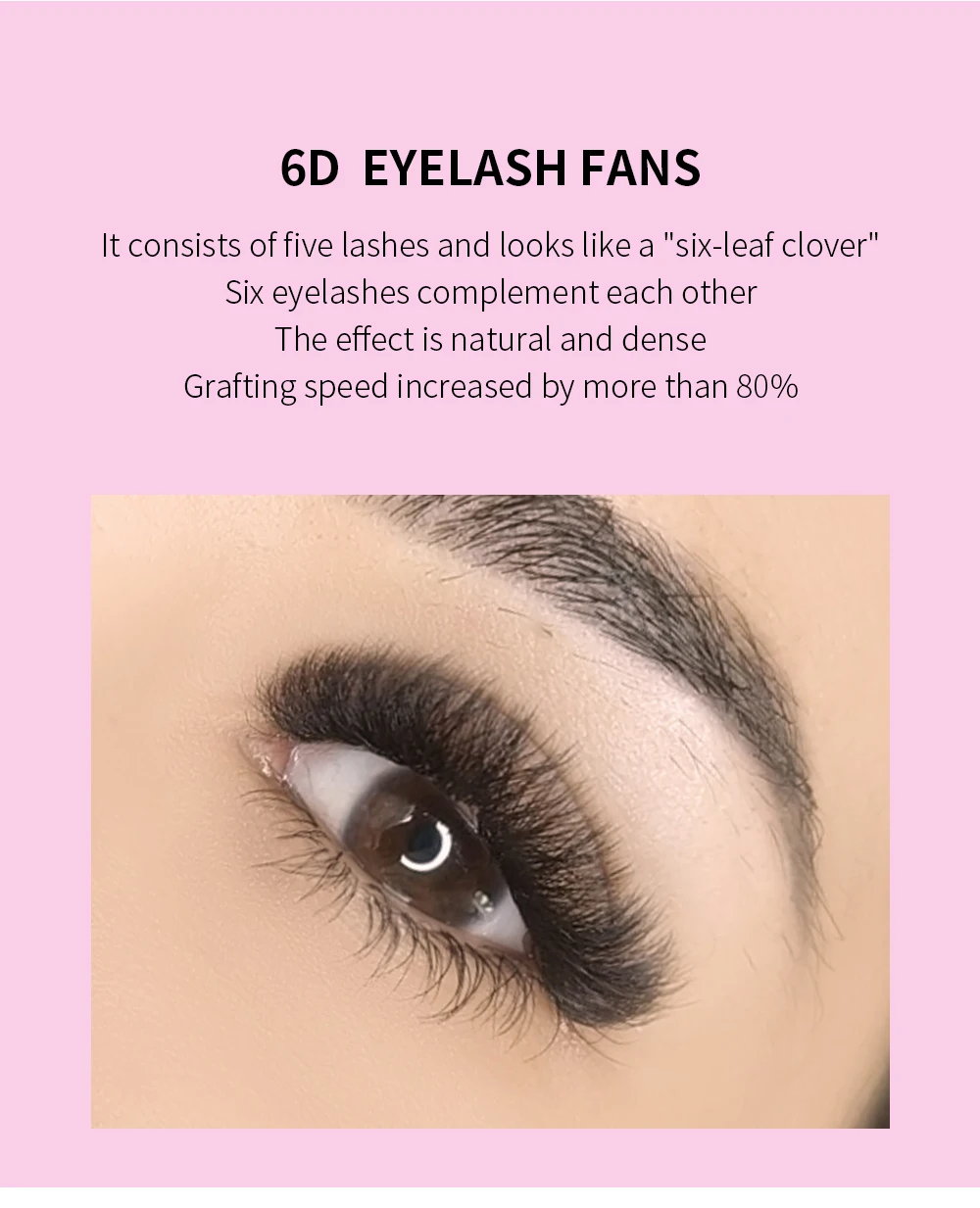 GLAMLASH 6D-W Shaped Eyelash Extension Premade Volume Fans Clover W Style Lashes False Mink Soft Easy Faning Natural Makeup Tool