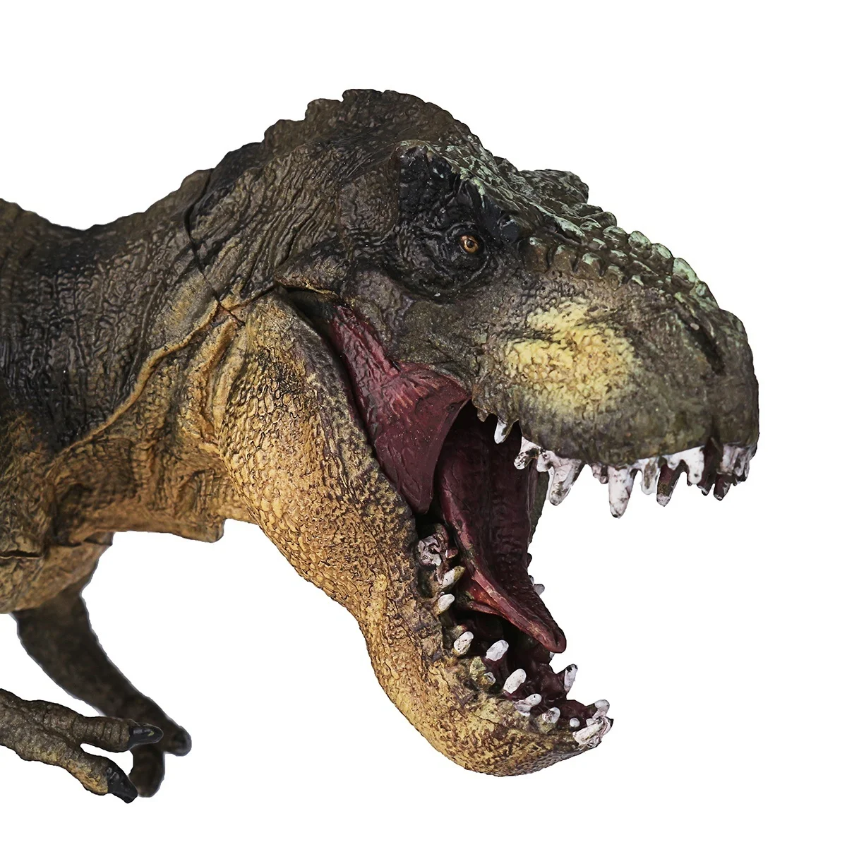 Jurassic Tyrannosaurus Rex + Blue Velociraptor Fascicodoll Dinosaur Action Figures Animal Collection gifts Educational Kids toy