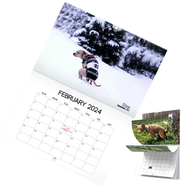 1 buah anjing Pooping kalender dinding kertas lucu 2024 Pooches dengan tempat yang indah kalender untuk 2024 perencana keluarga