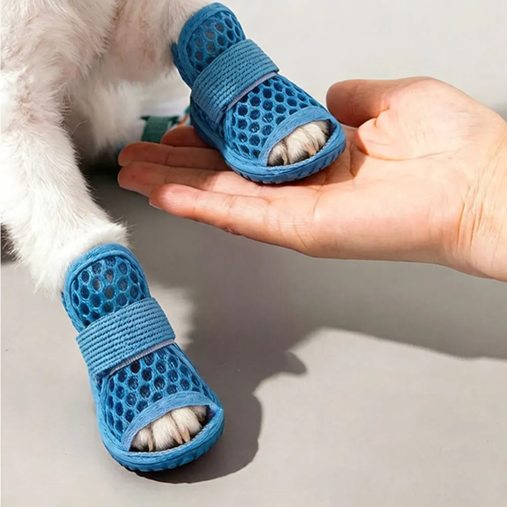 #6 Best Dog Boots to Buy In 2026