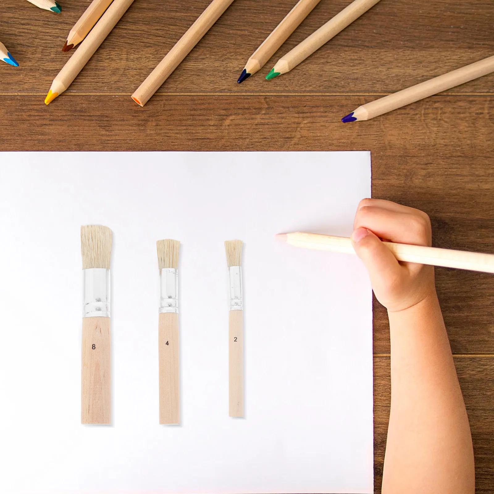 3Pcs Professional Round Paint Brush Set Bristle Wood Handle for Acrylic Painting Chalk Wax Stenciling Art Crafts Detail Work