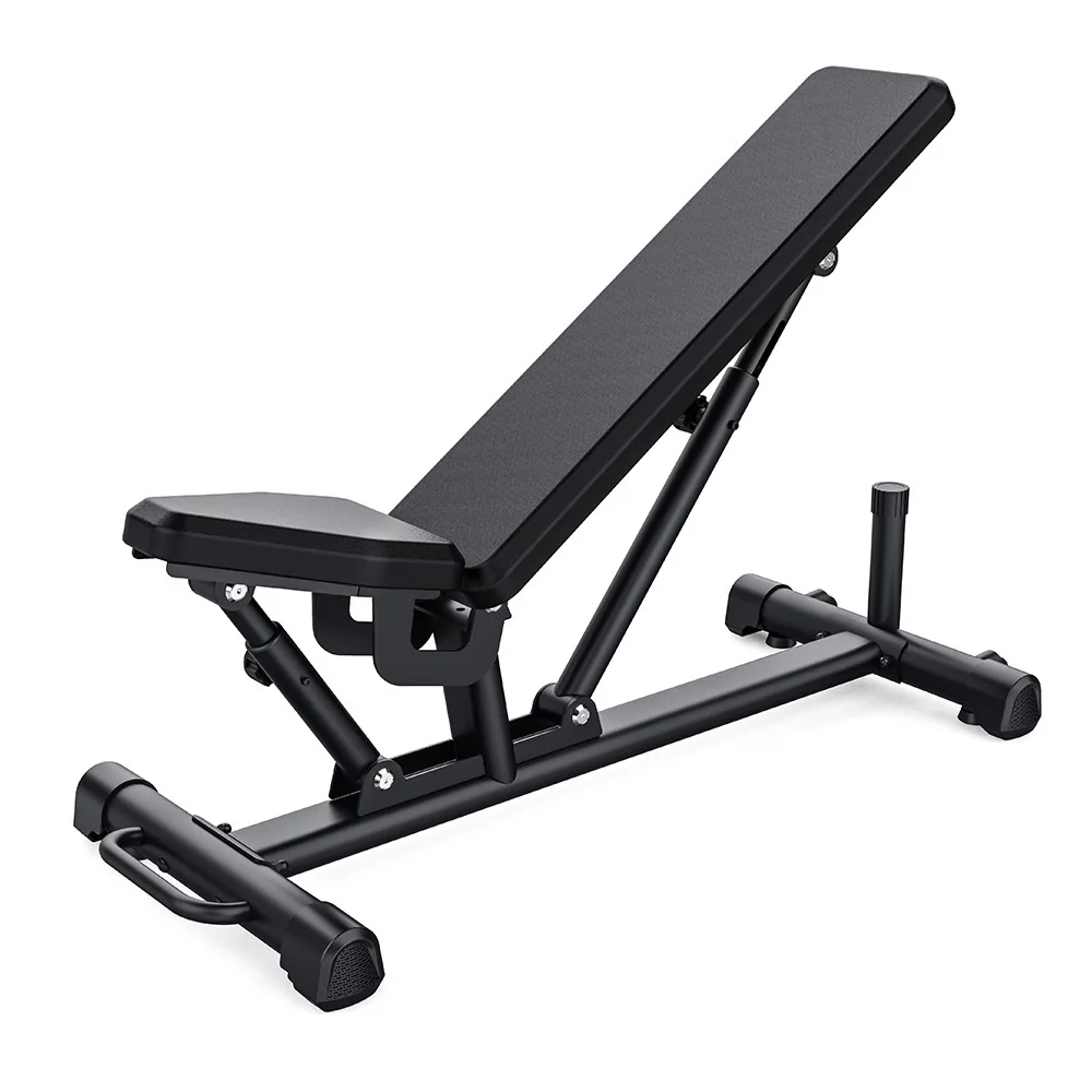 Gym Equipment Black Adjustable Dumbbell Bench