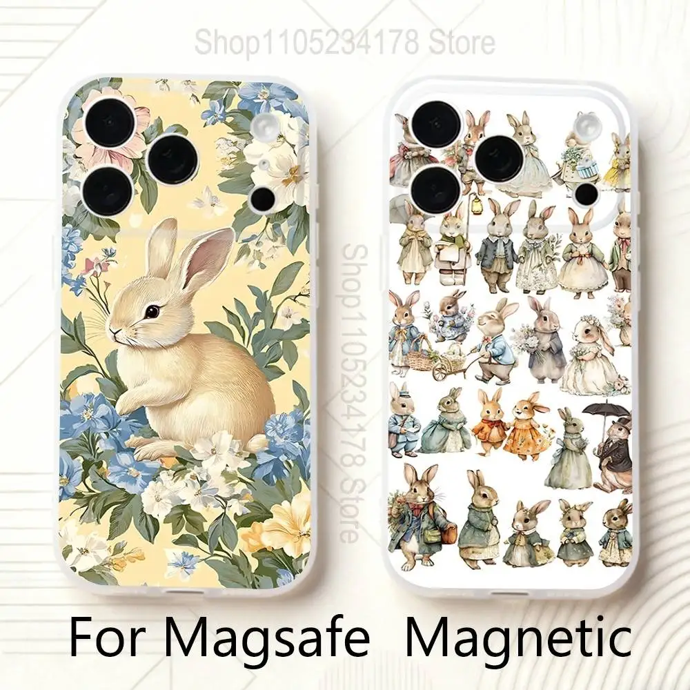 

P-Peter Bunny RabbitS Phone Case For iPhone 17,16,15,14,13,12,11 Pro,Max,Plus,Mini,Air,E Magnetic Magsafe Frosted Clear