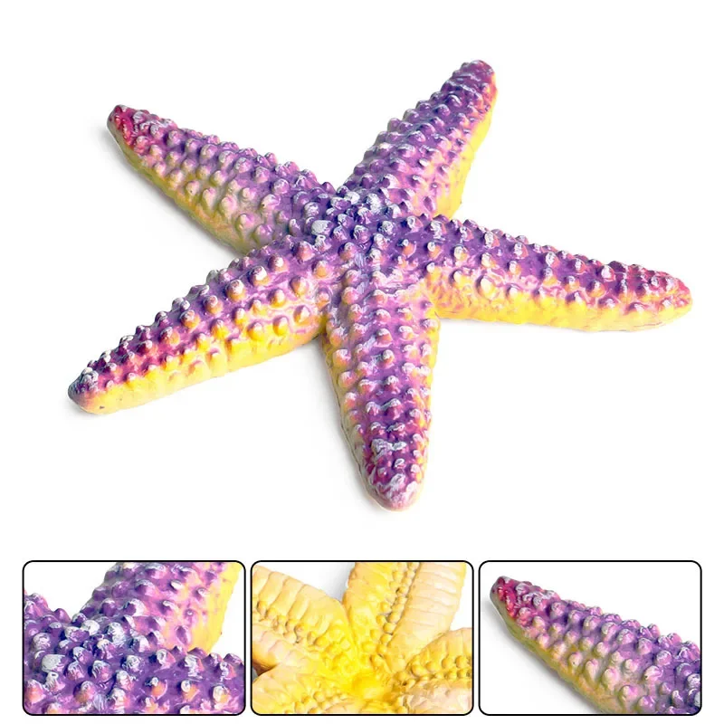 Scienza educativa ed educazione dei bambini giocattoli da spiaggia simulazione di stelle marine in plastica statica ornamenti decorativi modello animale marino