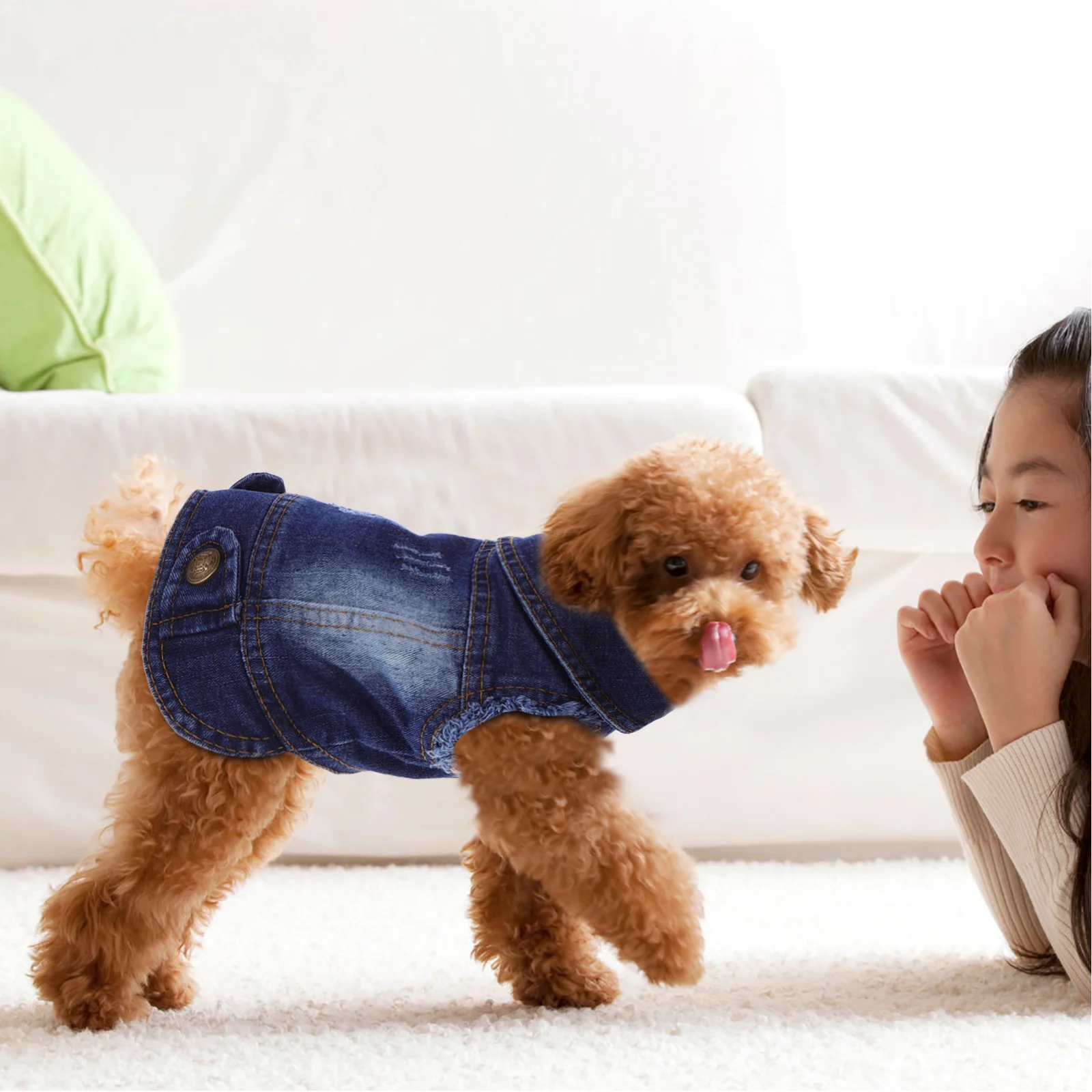 

Pet Vest Autumn Dog Vest Breathable Soft Comfortable Clothes Apparel for Bichon Poodle Size Occasion