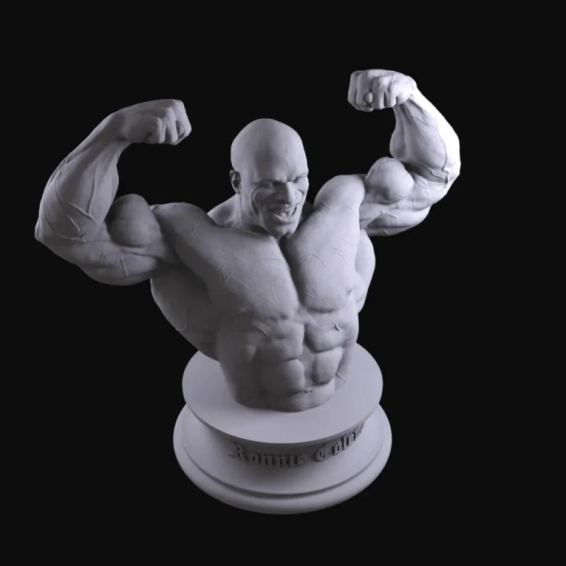 Fitness Trophy Model - Schwarzenegger Roni - High-Precision Detailed Plaster Bust as a Collectible Display Item as a Gift view 5