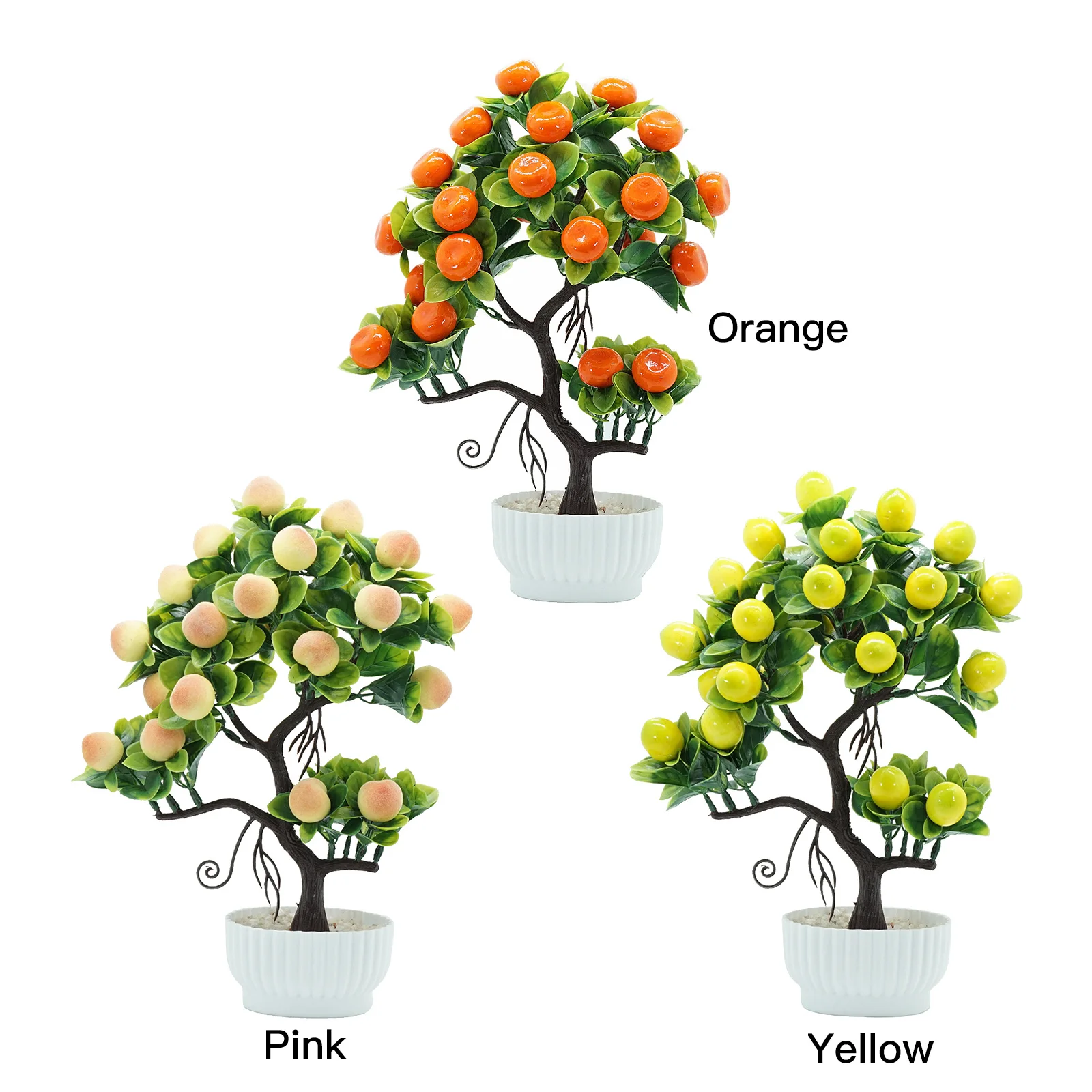 orange tree samples evolution