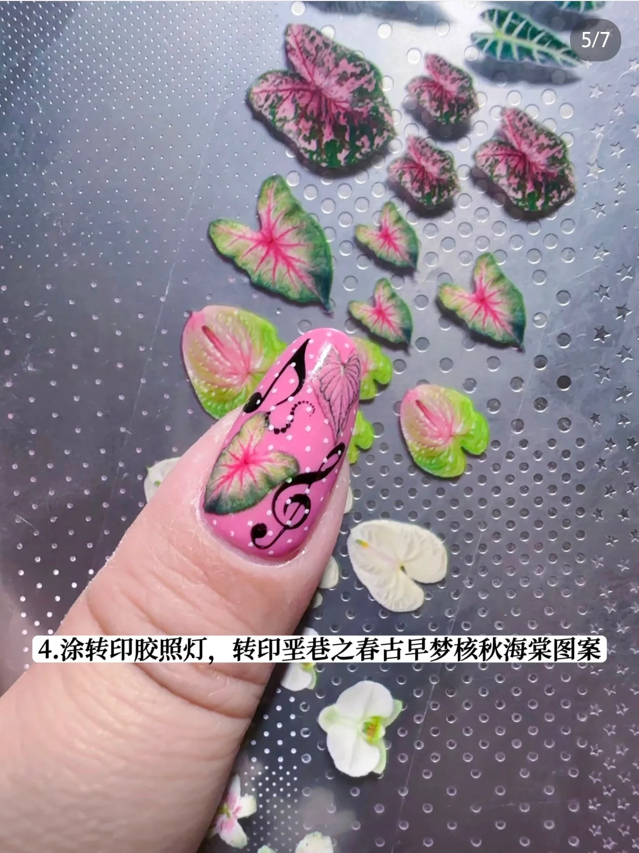 1 Box Blumen-Plumeria-Begonien-Blätter Phalaenopsis-Lilien Nagelfolien Transferpapier Nagelkunst-Aufkleber Nageldekoration – Detail 13