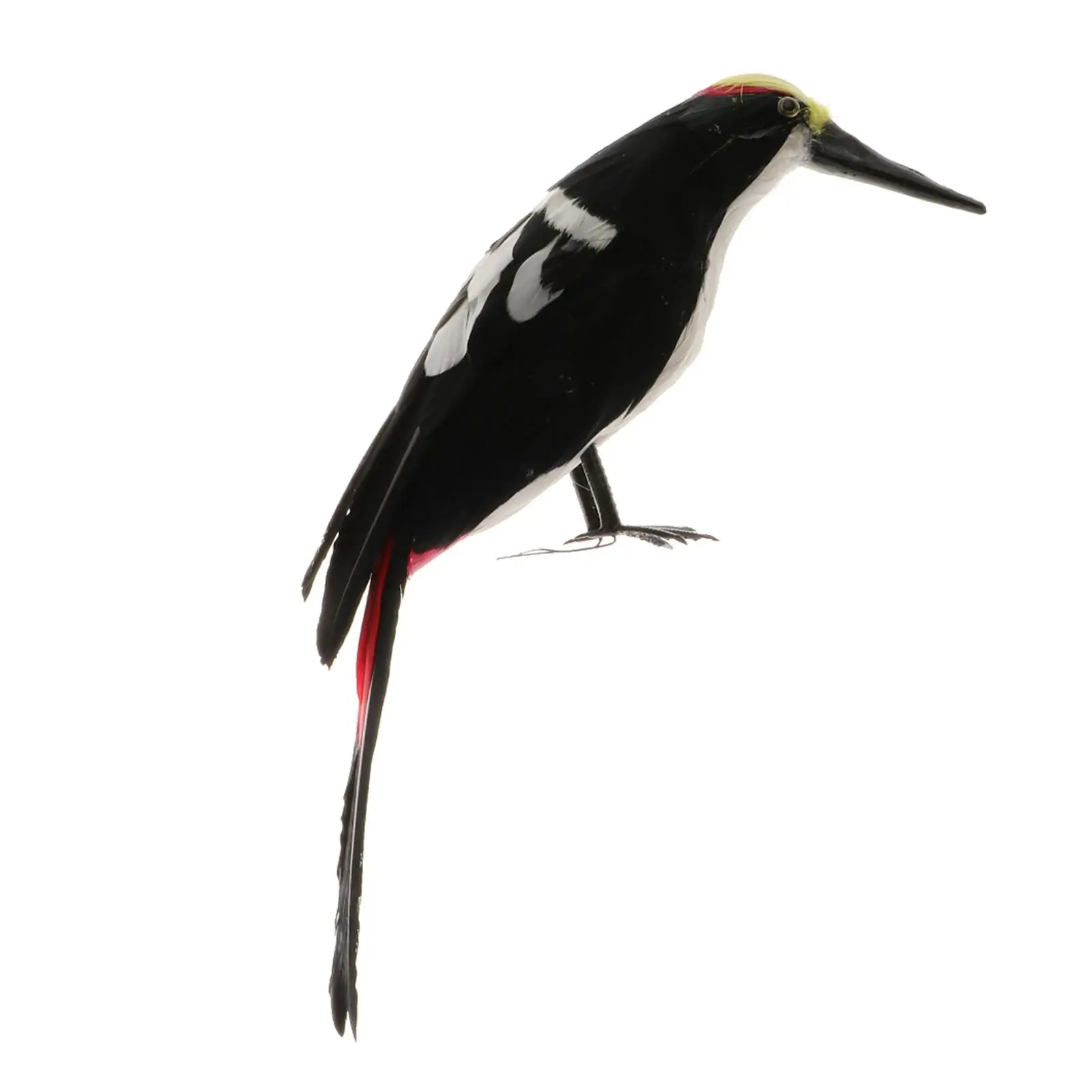 

Simulation Woodpecker Model Decor, Photo Prop, Art Cute Woodpecker Prop,