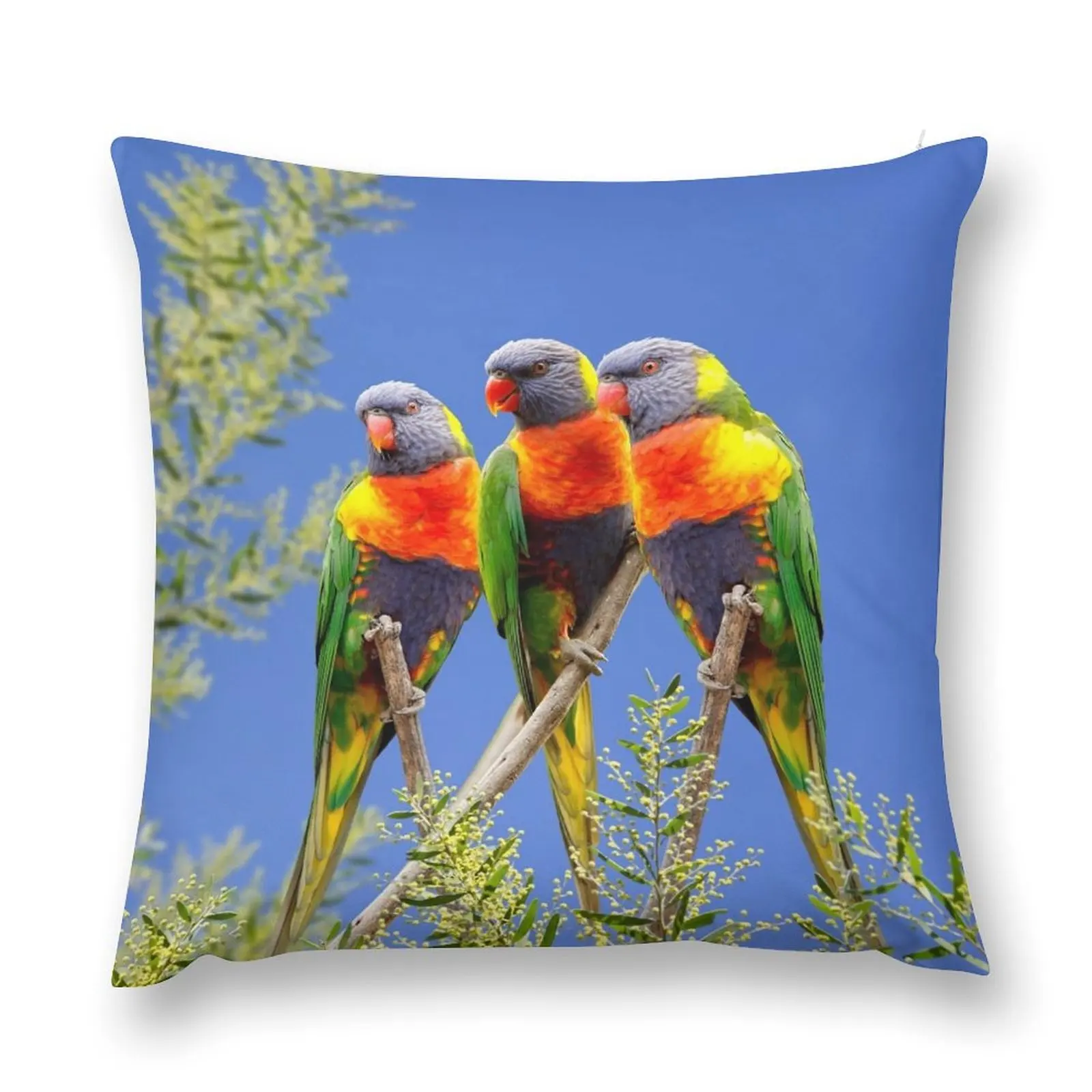 Rainbow Lorikeet Love, Australian Birds, Bright and Colorful Birds with personality and sparkle Throw Pillow