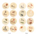 Animal Cards