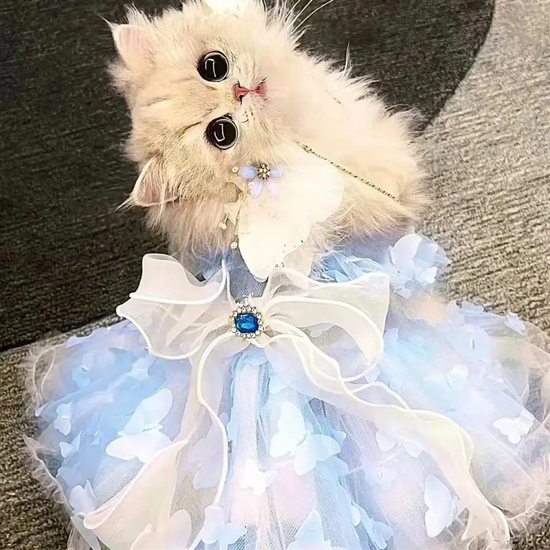 

Fairy Rainbow Blue Wings Spring Summer Dog Siamese Silver adient Briti orthair American ortha...