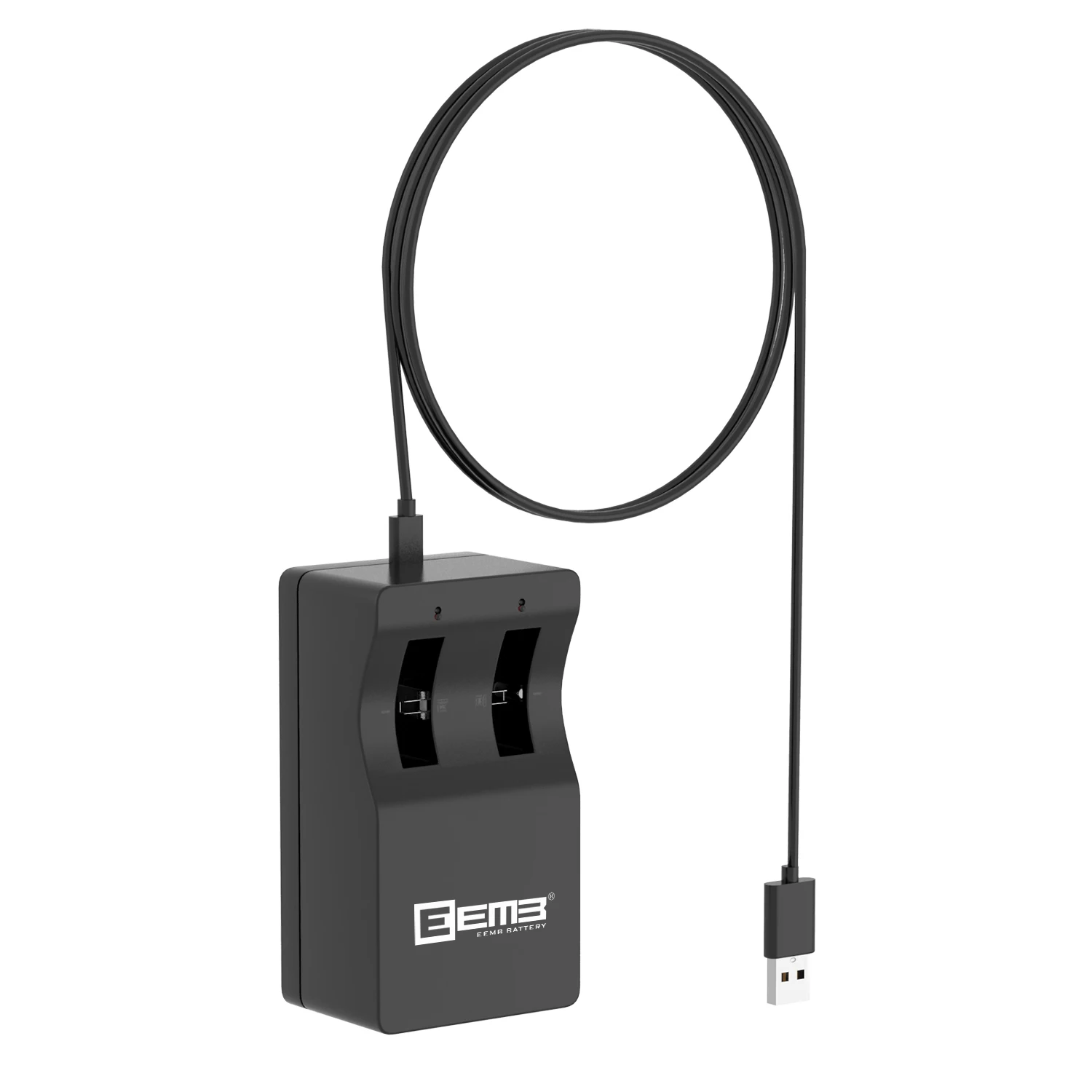 EEMB 4PCS LIR2450H high-capacity 200mAh lithium battery With charger 2450 3.7V rechargeable lithium-ion button battery