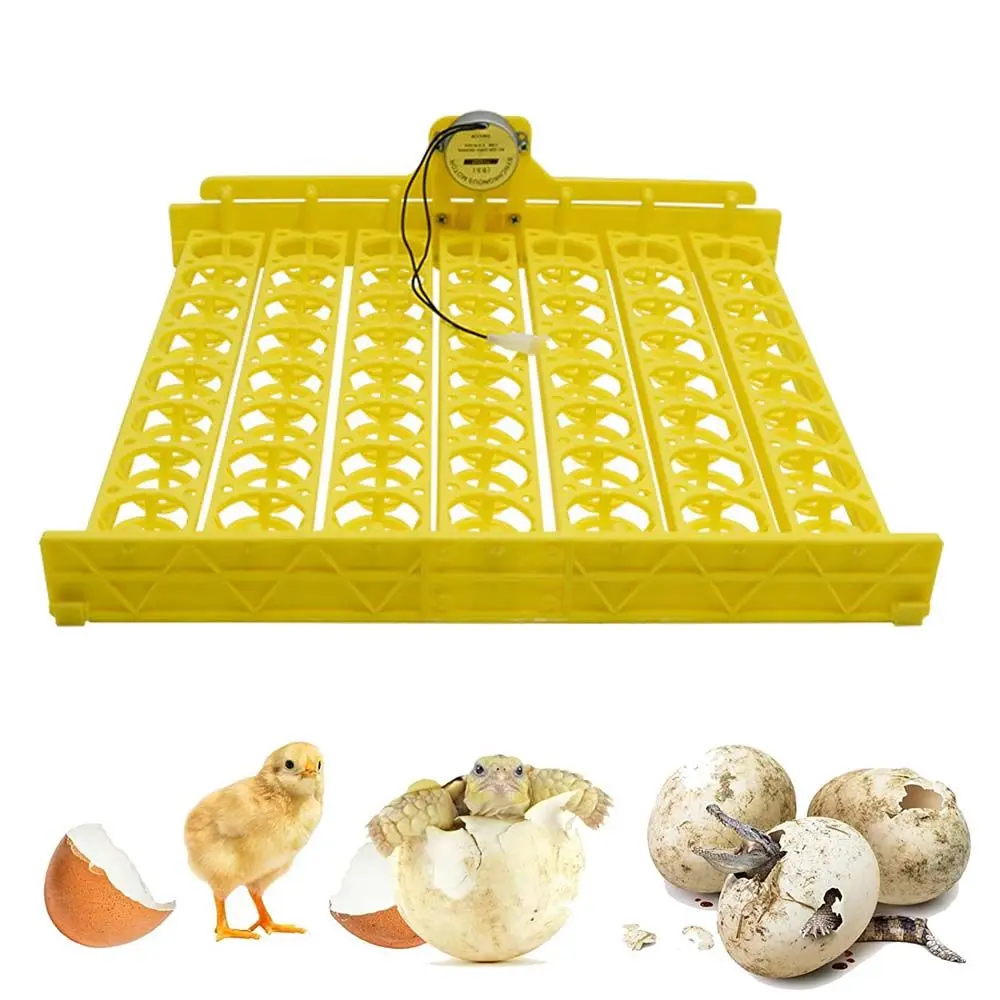 

Plastic Multifunction Automatic With Auto Turn Motor Brooder Accessory For Chicken Duck Egg Egg Turning Tray Egg Incubator