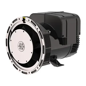 سعر المصنع متزامن التيار المتناوب 40kw 50kw 100kw 160kw 200kw Leroy Somer المولد بدون فرش مع Avr