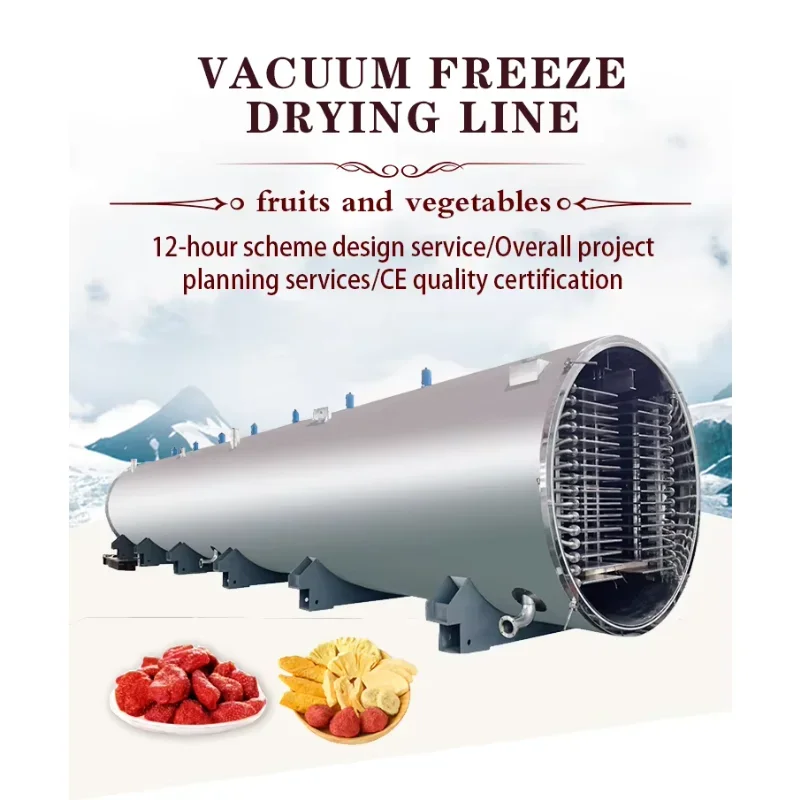 Automatic Commercial Freeze Drying Machine Sublimation Condensation Dryer Vacuum Lyophilizer Price Freeze Drying