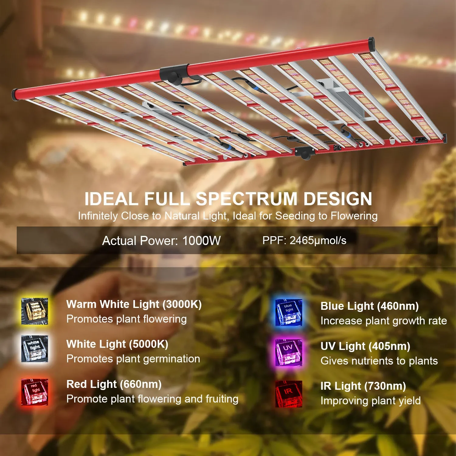 Light Dimmable Full Spectrum LED Grow Light 1000w Bar LED Commercial Grow Light for Indoor Plant Greenhouse